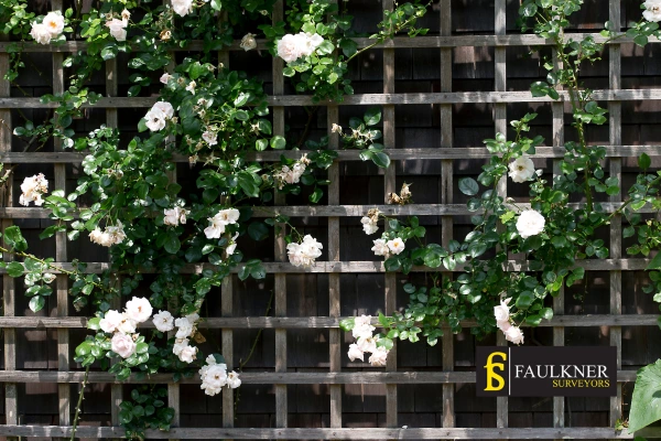 Can I put trellis on my Neighbours garage wall? 2 Do you want to adapt your neighbours garage door and add a trellis Redhill? Talk to Faulkner Surveyor Redhill
